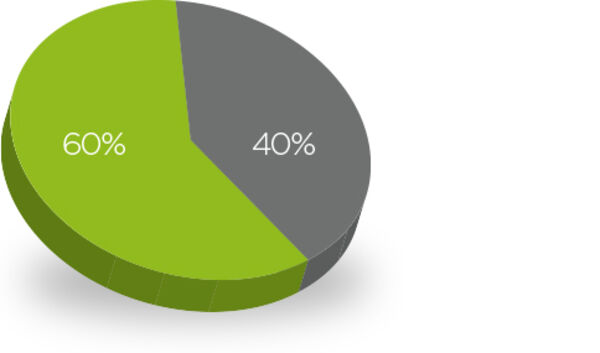 Graphical representation of the market segments.